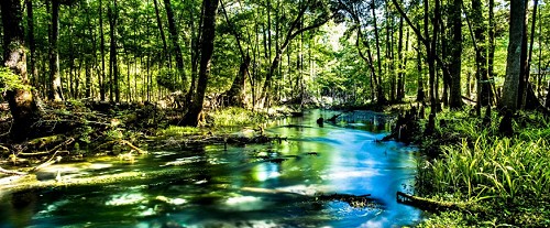 Horn Spring Run